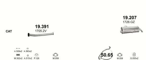 Auspuffanlage für PEUGEOT 206 1.6 (1.6i 16V)