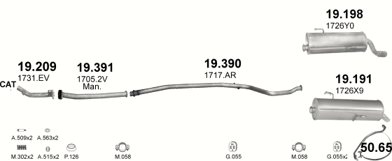 Auspuffanlage für PEUGEOT 206 1.4 (1.4i)