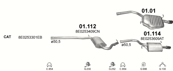 Auspuffanlage für AUDI A4 2.0 (2.0)