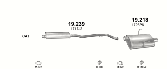 Auspuffanlage für PEUGEOT 406 2.2 (2.2)